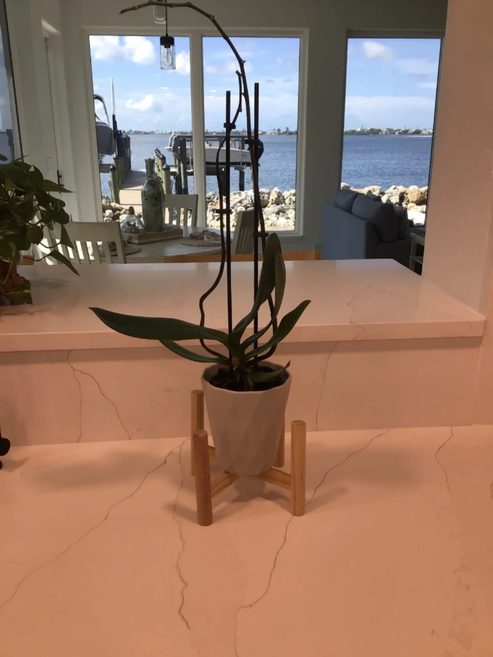 Plant stand holder wood